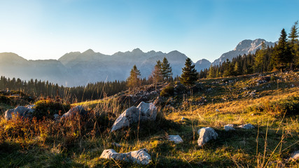 image of a landscape with alps in the backround