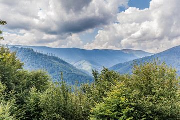 beautiful sky, tall trees, beautiful nature, clean air, mountain landscape, wallpaper, mountain pond