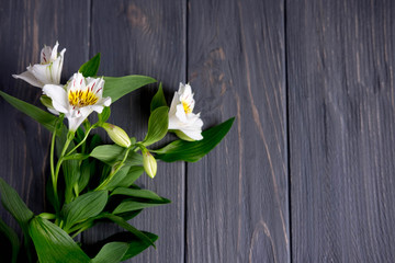 Background for text banner on a dark wooden background with white flowers. Blank, frame for text. Greeting card design with flowers. Aalstroemeria on wooden background. View from above