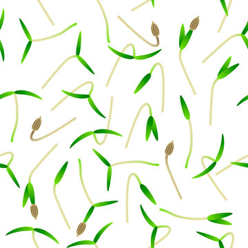 Microgreens Carrot. Sprouting seeds of a plant. Seamless pattern. Vitamin supplement, vegan food.