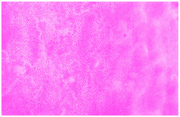 Purple designed grunge paper texture, watercolor background.