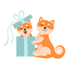Two Cute Shiba Inu Dogs, One Dog Sitting in Gift Box, Funny Japan Pets Animals Cartoon Characters Vector Illustration