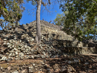Copan archaeological site of Mayan civilization, not far from the border with Guatemala. It was the...