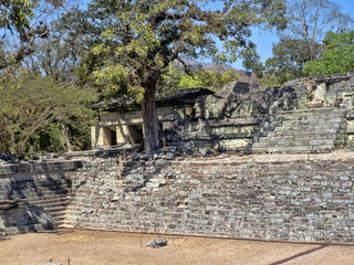 Fototapeta na wymiar Copan archaeological site of Mayan civilization, not far from the border with Guatemala. It was the capital of the main classical kingdom period from the 5th to the 9th century AD.