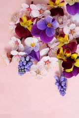 bright floral background of spring flowers