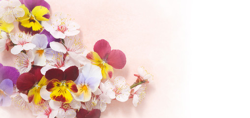 bright floral background of spring flowers
