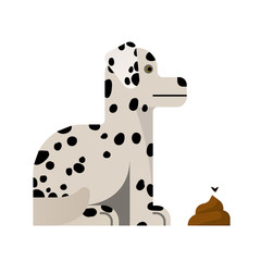 Dalmatian with poop.