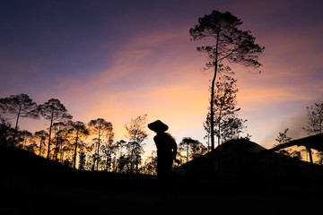 The daily activities. The farmer begin their activity in the morning at Wonosobo, Central Java, Indonesia.
