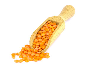 Lentil and scoop isolated on white background