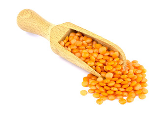 Lentil and scoop isolated on white background
