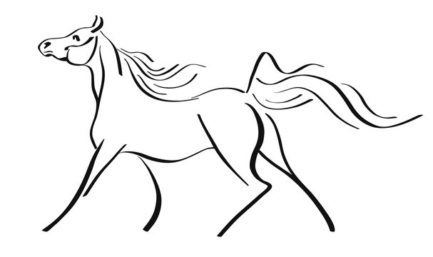 Image of a arabian horse in lines
