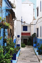 Fototapeta na wymiar view into picturesque street in Rabat, Morocco