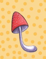 Hand drawn mushrooms autumn leaves forest illustration
