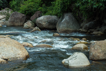 Naklejka na ściany i meble running of water stream from waterfall in tropical rain forest