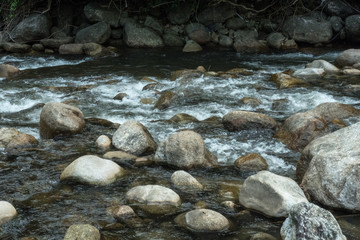running of water stream from waterfall in tropical rain forest