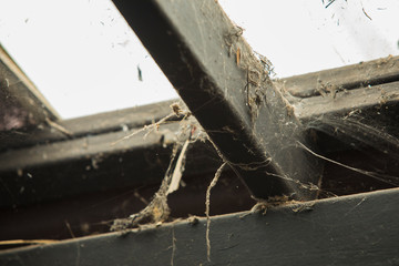Spider web ,Steel structure with cobwebs