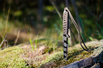 knife in the stump