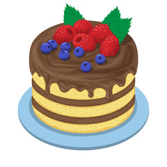 Cake with chocolate and fruit: blueberries and raspberries