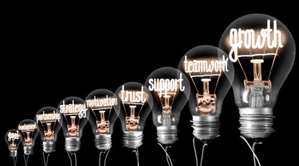 Light Bulbs Concept