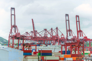 Logistics and transportation of container and crane bridge. import export and transport industry...