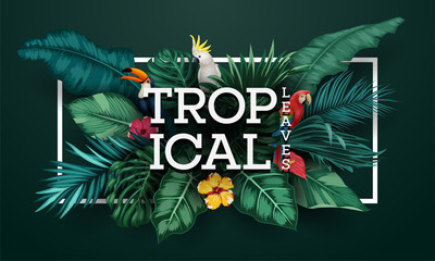 Birds collection and tropical plants background © ekyaky