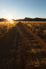 Naklejka premium Sandy track in namibia.