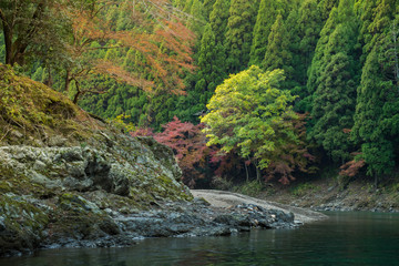 Hozugawa river boat ride route  in Japan autumn season