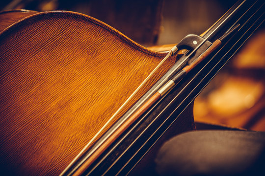 Double bass and bow