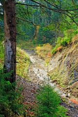 Fototapeta na wymiar Mountain river flowing in green forest under mountainous slopes