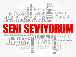 Seni seviyorum (I Love You in Turkish) in different languages of the world, word cloud background