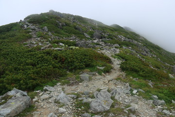 幌尻岳山頂への道　山頂直下