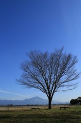 快晴の公園から見た滋賀県の名峰、伊吹山と自然風景です