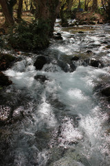 Obraz premium Agios Nikolaos Park Naousa Greece Europe