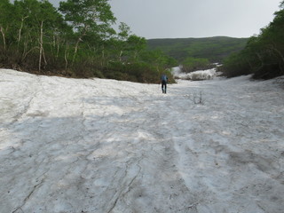 北海道トムラウシ　残雪のある山頂への道　初夏