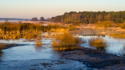 Dolina Górnej Narwi. Wiosna na Podlasiu. Piękny słoneczny dzień © podlaski49