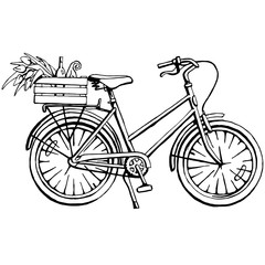 Black and white hand drawn illustration of bicycle 