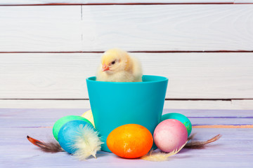 chick with easter eggs on wooden table