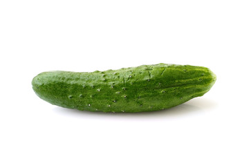 Greenhouse cucumber isolated on white background