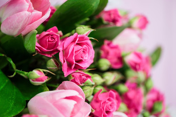 background beautiful bouquet of pink wild rose and pink tulip