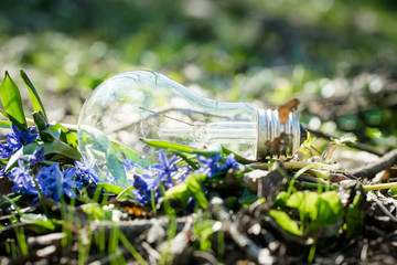 Light bulb in a forest glade. Nature and energy saving