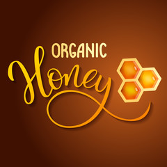 Honeycomb and Organic Honey on a brown background.