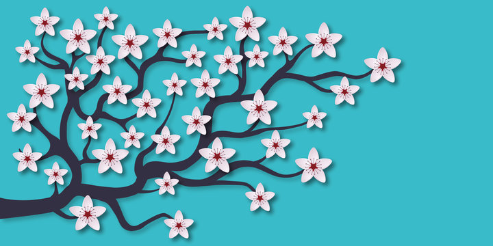 Illustration d’une branche de cerisier avec ses fleurs blanches sur un fond bleu, symbole de l’arrivée du printemps.