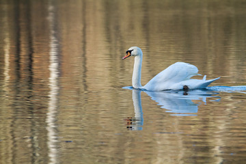Naklejka premium sous le soleil 