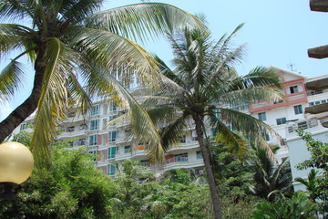 The tropical vegetation of the park areas of the resort town allows the rest to enjoy a pleasant coolness in the shade of high palm trees.