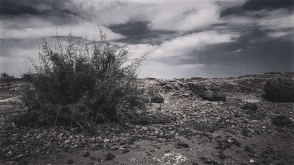 storm in the desert