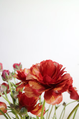 아름다운 봄 꽃들, 활짝핀 아름다운 꽃 ,꽃 오브젝트