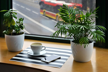Cup of coffee, smartphone and plants on wooden table and  striped background