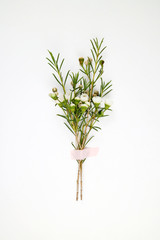 아름다운 봄 꽃들, 활짝핀 아름다운 꽃 ,꽃 오브젝트