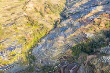 Naklejka premium aerial view of terraced fields at dusk