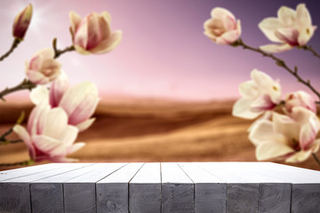 Desk of free space for your decoration and magnolia flowers of spring time 